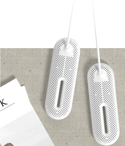 Footwear drying device in winter